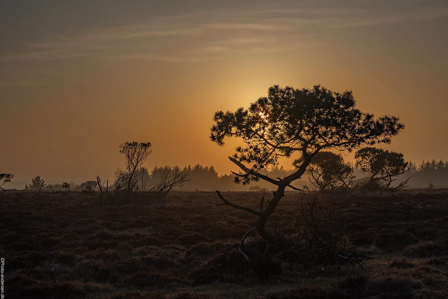 Marbækområdet i solnedgangen
