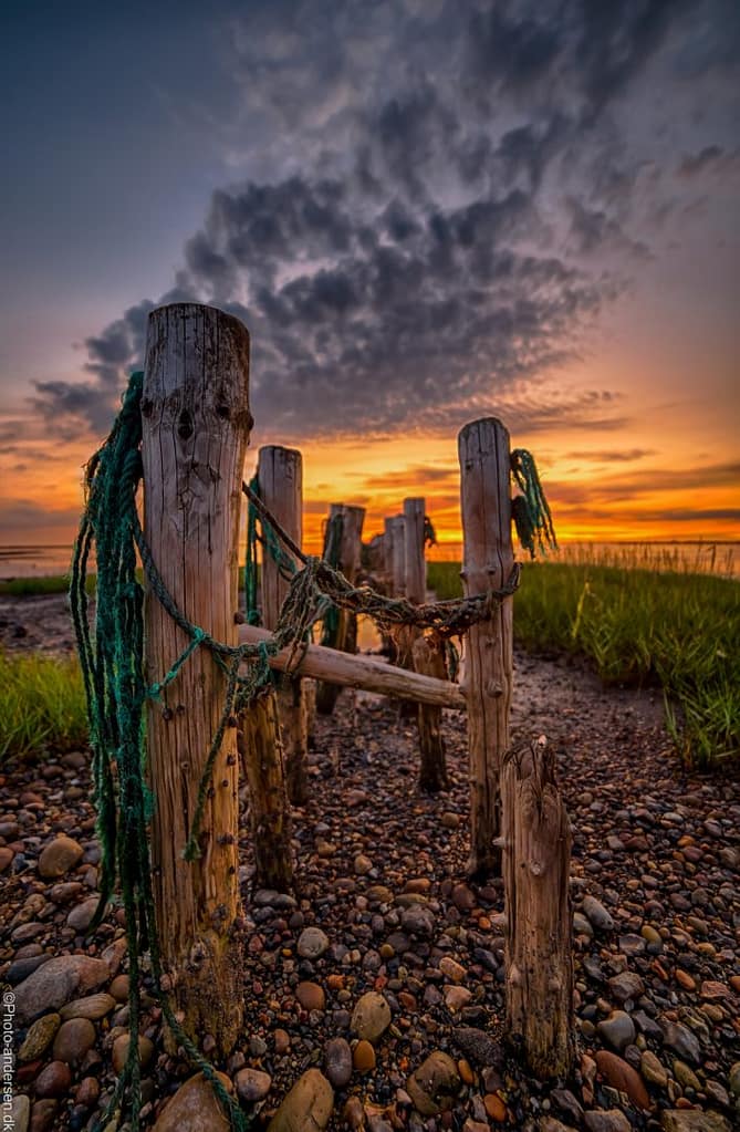 Solnedgang over Mandø Ebbevej, Danmark. Hvor faskingårdene rammes af solens skær